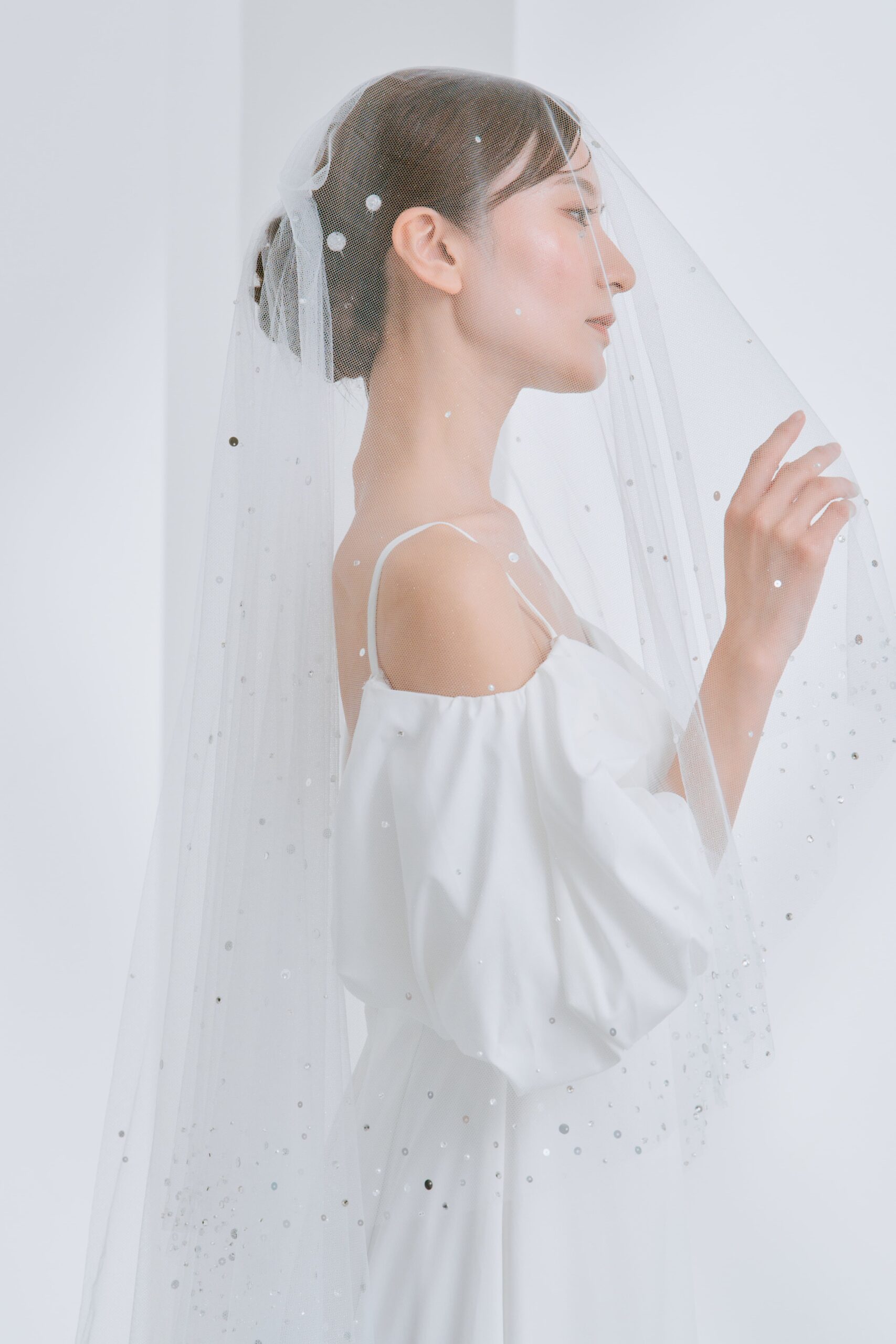 BV-37 (Glitter Tulle Veil with Sparkling Sequin Embroidery)